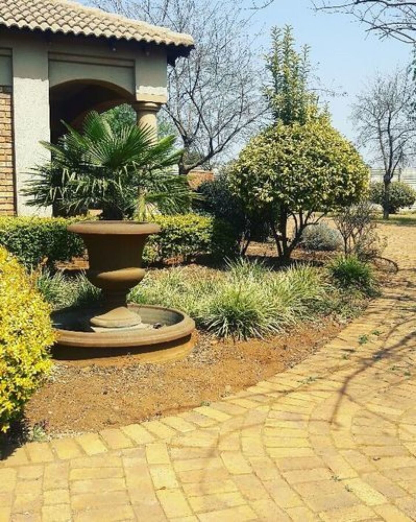 Budias Guest House Kempton Park Esterno foto